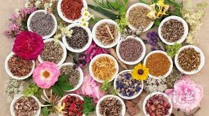 CORSO ON LINE DI ERBORISTERIA foto-10036