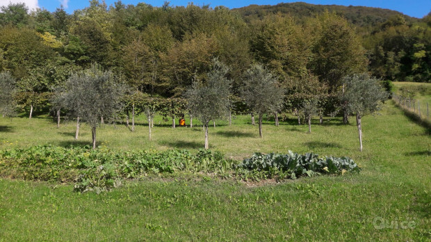 Vendo terreno a Rugolo di Sarmede foto-63521