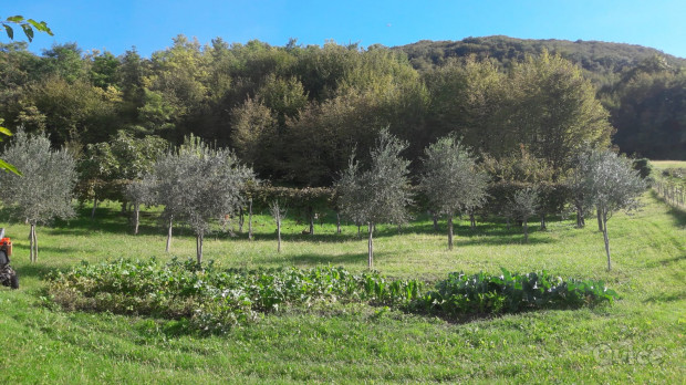 Vendo terreno a Rugolo di Sarmede foto-10134