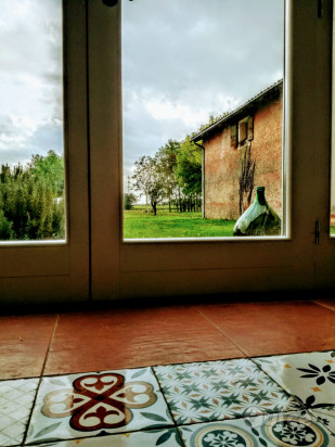 Rustico con ampio terreno di propriet&agrave; foto-72459