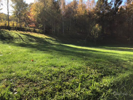 Rustico con parco di 16.000 Mq sul Montello foto-74342