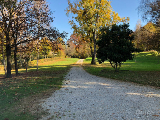 Rustico con parco di 16.000 Mq sul Montello foto-74338