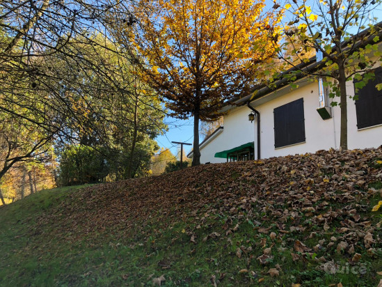 Rustico con parco di 16.000 Mq sul Montello foto-74339