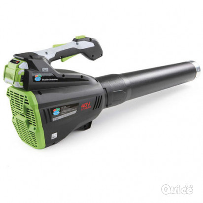 SOFFIATORE A BATTERIA BLUE BIRD foto-12006