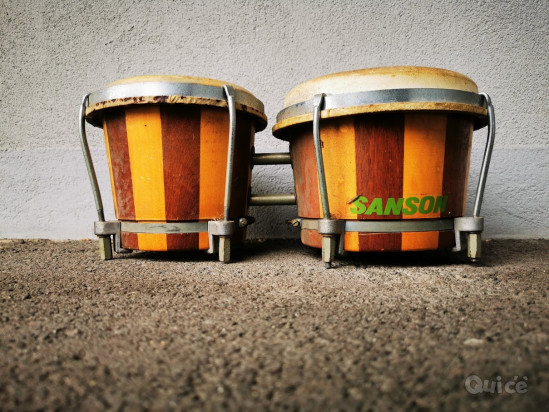 Venedo bonghi foto-14869