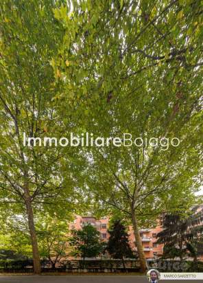 LUMINOSO BICAMERE CON AMPIO TERRAZZO a Treviso foto-106795