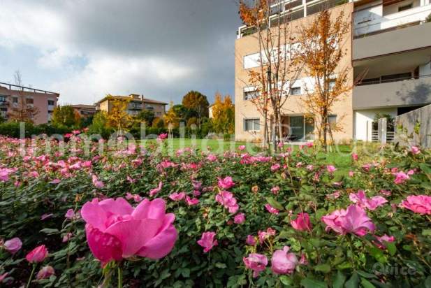 Treviso Fuori mura a Treviso foto-15074