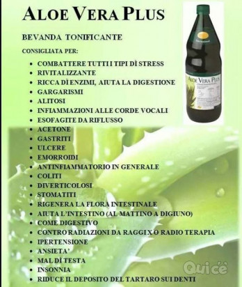 Aloe Vera. foto-16470