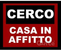 CERCO IN AFFITTO CASETTA , VILLETTA , O RUSTICO DI CAMPAGNA LEGGERE BENE  foto-18731