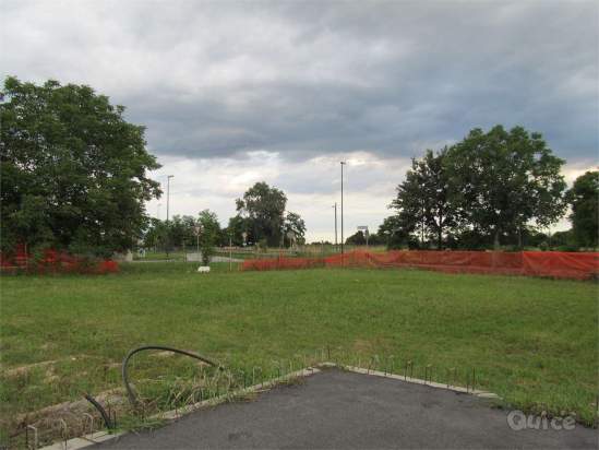 TERRENI EDIFICABILI a Colle Umberto foto-13727