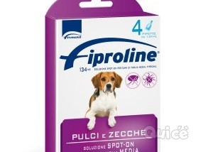 Alimenti e accessori per cani e gatti foto-168626