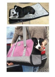 Alimenti e accessori per cani e gatti foto-168627