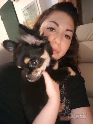 Pet-sitter foto-21977