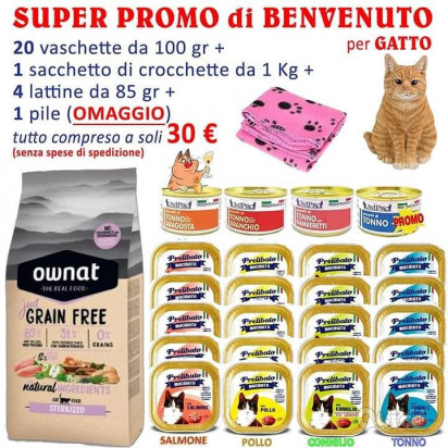Bag di benvenuto per cani e gatti foto-22025