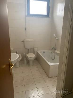 Capannone in affitto a Carpi (MO) foto-177002