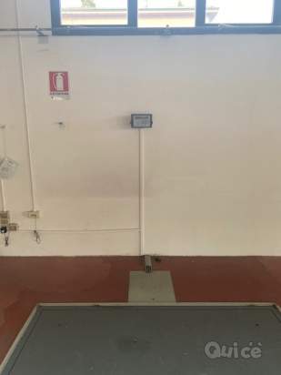 Capannone in affitto a Carpi (MO) foto-176995