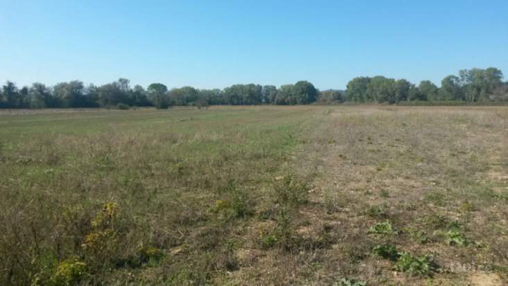 Terreno in vendita a Novi di Modena (Modena) foto-22484