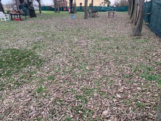 Bifamiliare in vendita a Carpi (Modena) foto-179731