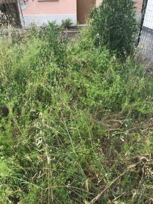 Casa a schiera in vendita a Novi di Modena (Modena) foto-179999