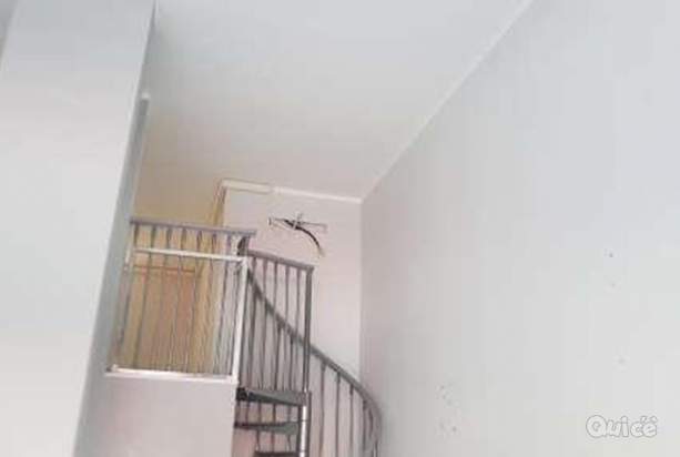 Negozio in vendita a Torino (TO) foto-184360