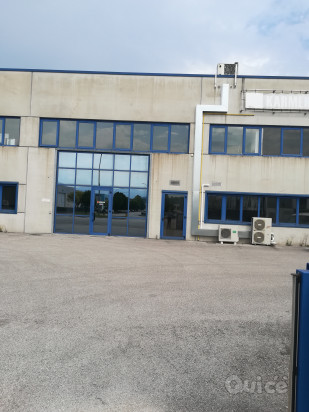 Capannone Conegliano foto-2452