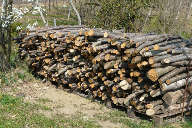 Legna ciliegio e noce pezzatura media. Prezzo a corpo   foto-24927