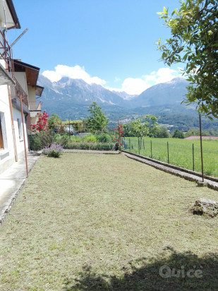 Casa singola composta da 3 appartamenti foto-212507