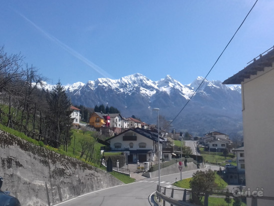 Casa singola composta da 3 appartamenti foto-212504