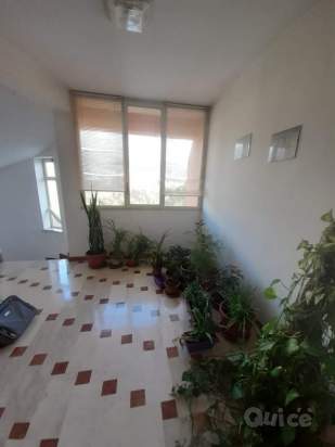 Appartamento in vendita a Partinico (PA) foto-230061