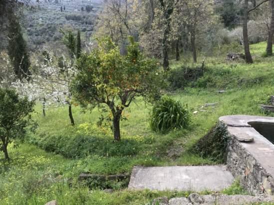 Rustico in vendita a Reitano (ME) foto-230191