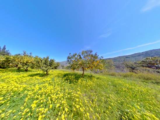 Rustico in vendita a Reitano (ME) foto-230190