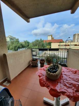 Appartamento in vendita a Palermo (PA) foto-230257