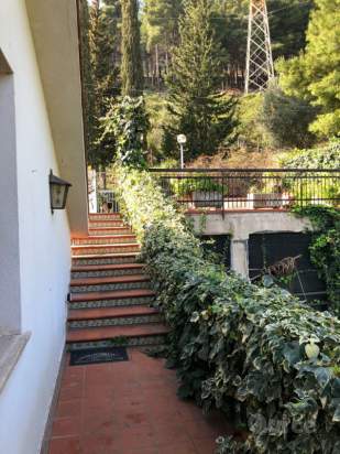 Appartamento in affitto a Palermo (PA) foto-230327