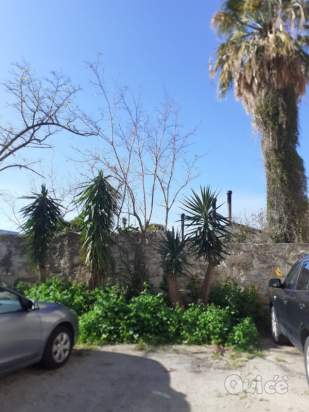 Appartamento in vendita a Terrasini (PA) foto-230444