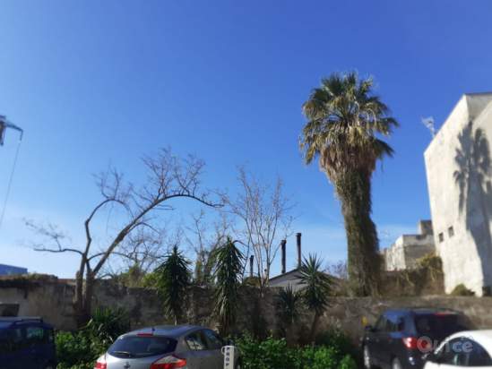 Appartamento in vendita a Terrasini (PA) foto-230443