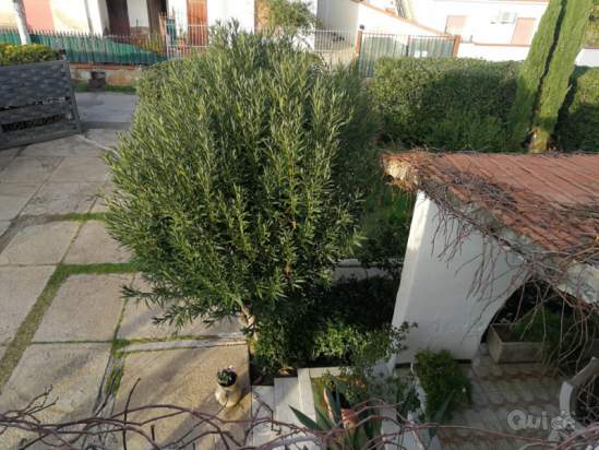 Bifamiliare in vendita a Cinisi (PA) foto-230624