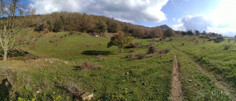 Terreno in vendita a Caronia (ME) foto-230633