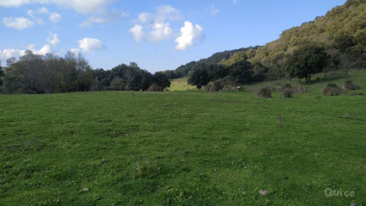 Terreno in vendita a Caronia (ME) foto-230632