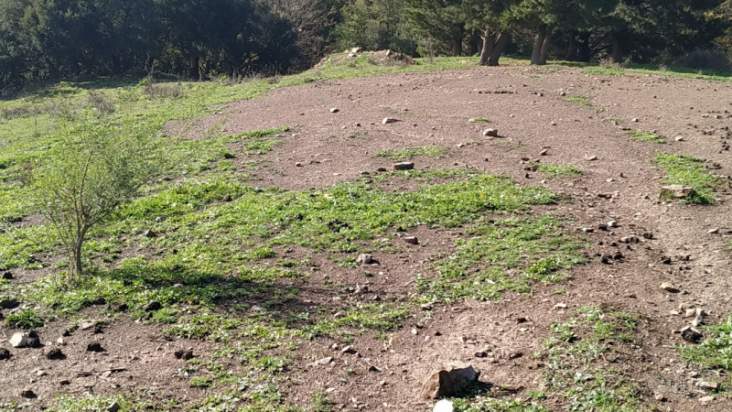 Terreno in vendita a Caronia (ME) foto-230628