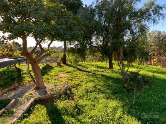 Villa in vendita a Terrasini (PA) foto-230669