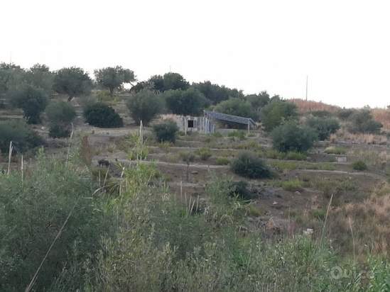 Terreno in vendita a Trabia (PA) foto-230877