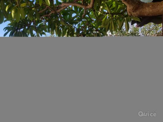 Villa in vendita a San Vito Lo Capo (TP) foto-231060