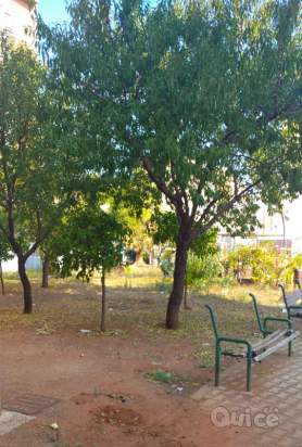 Appartamento in vendita a Palermo (PA) foto-231143