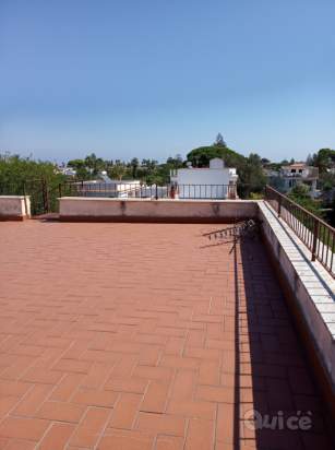 Appartamento in vendita a Palermo (PA) foto-231252