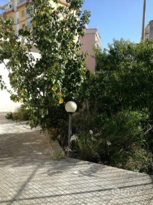 Laboratorio in vendita a Palermo (PA) foto-231545