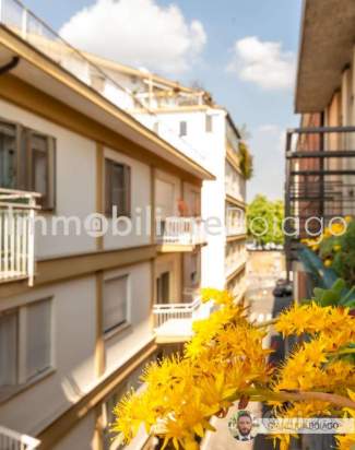 Mini appartamento nel cuore della città a Treviso foto-237620