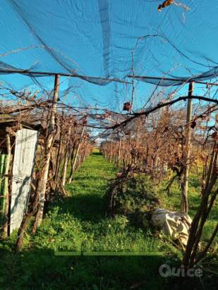 Casa singola in vendita a Caltrano (Vicenza) foto-242390