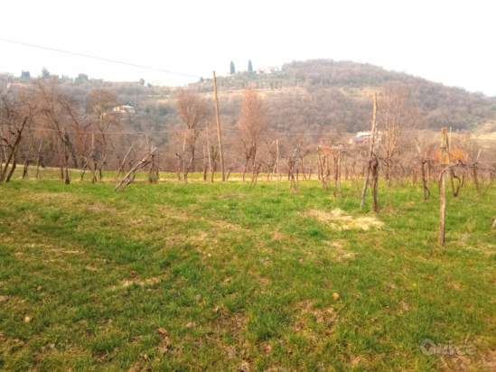 Rustico in vendita a Isola Vicentina (Vicenza) foto-28119