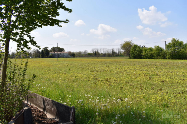 Terreno, Vascon di Carbonera foto-247019