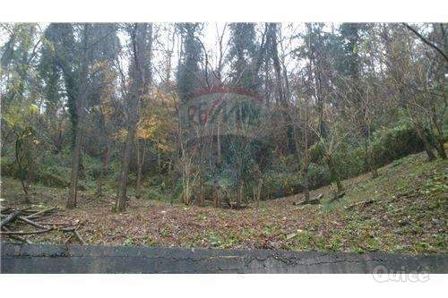 FZ427 VILLA SINGOLA/RUSTICO CON PARCO DA SOGNO a Follina foto-257458